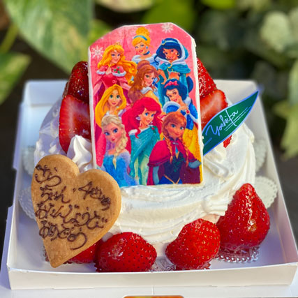 プリントケーキ OR11